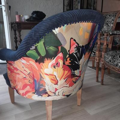 Crapaud chats